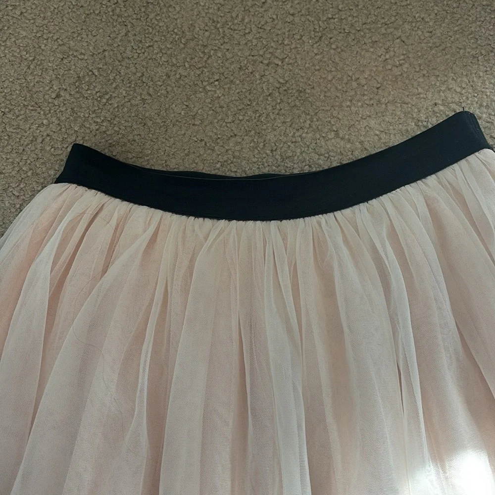 Abercrombie &Fitch Tulle Skirt - Picture 8 of 10